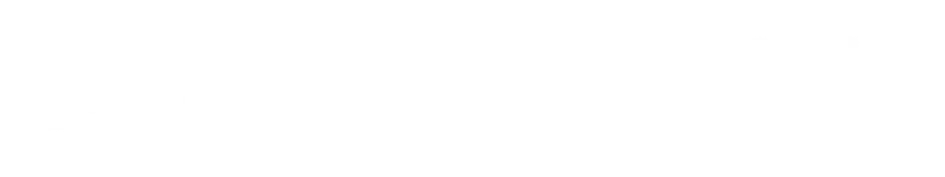 映像ディレクター / 撮影