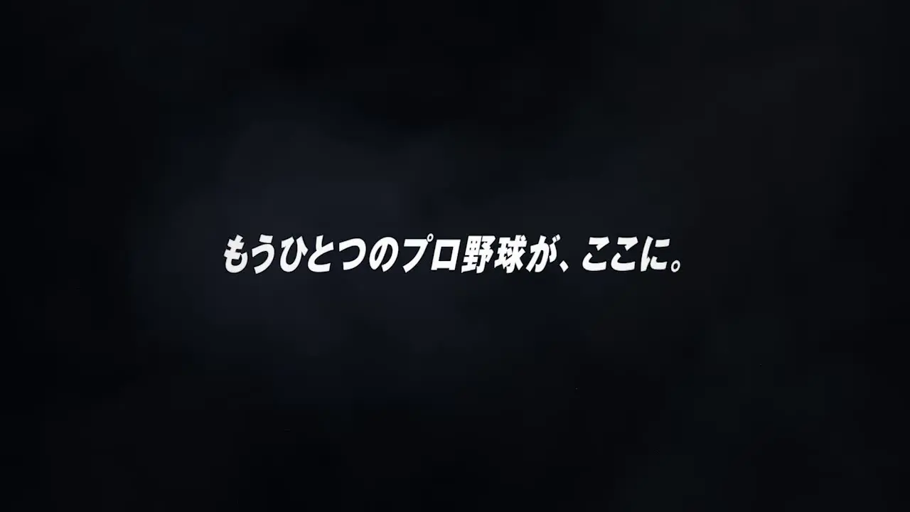 eBASEBALL PAWAPURO<br>PRO LEAGUE