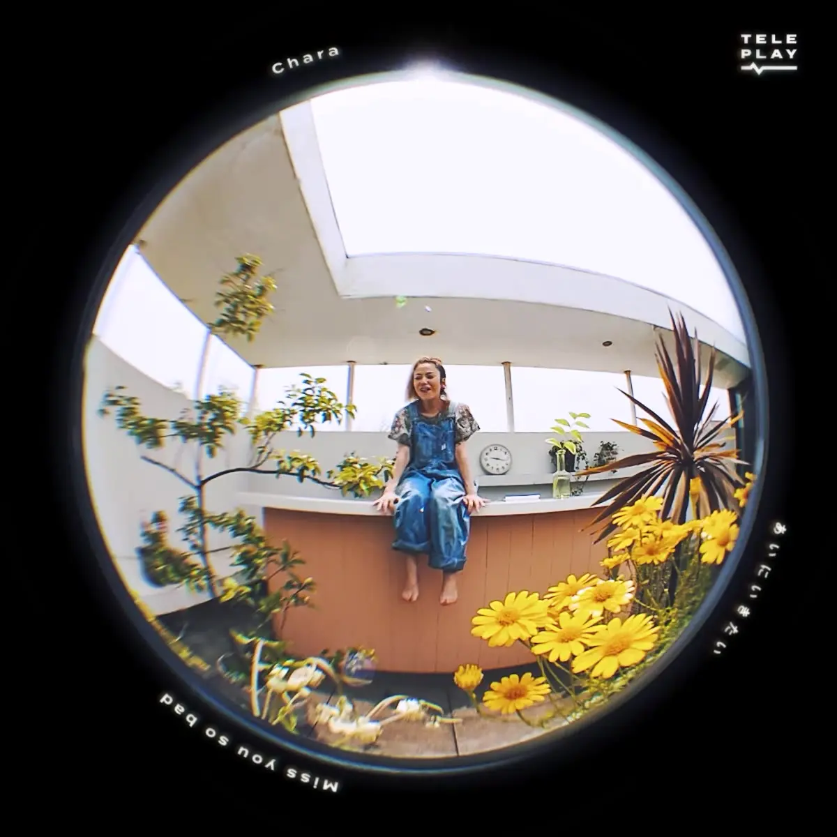 あいにいきたい - TELE-PLAY