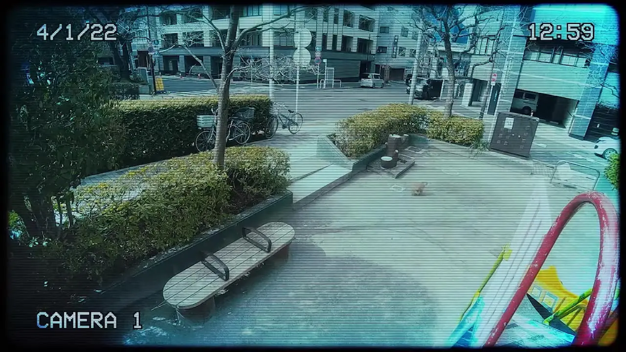 PEAK TIME - tofubeats