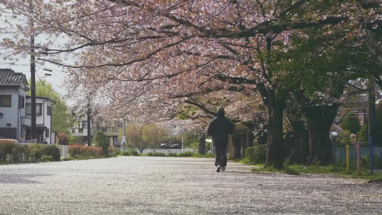 日々 feat. Rachel & 永井聖一<br>- ESME MORI